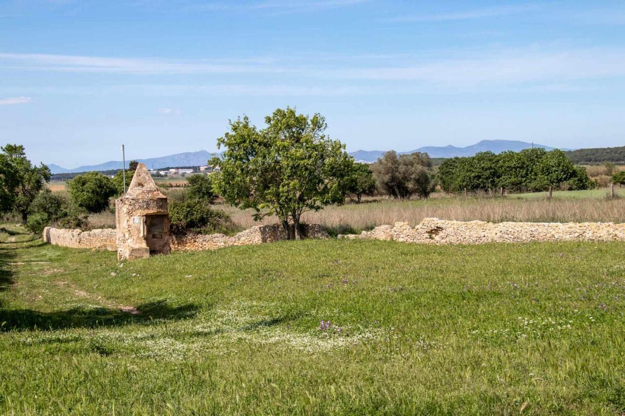 Ocells De Montgri Apartamento Rural En El Emporda Sobrestany エクステリア 写真